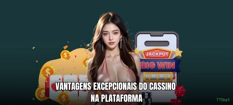 775bet Provedores Premium