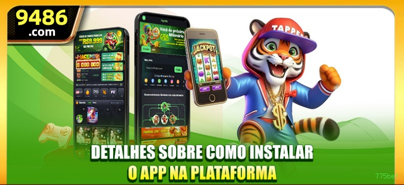 Termos 775bet